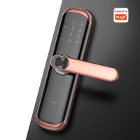 Tuya Smart Lock Electronic Lock Central Locking System Intelligent Fingerprint Lock